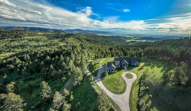 drone / aerial view featuring a mountain view