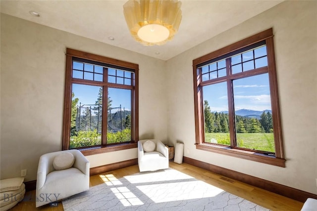 living area featuring a mountain view and light wood-type flooring