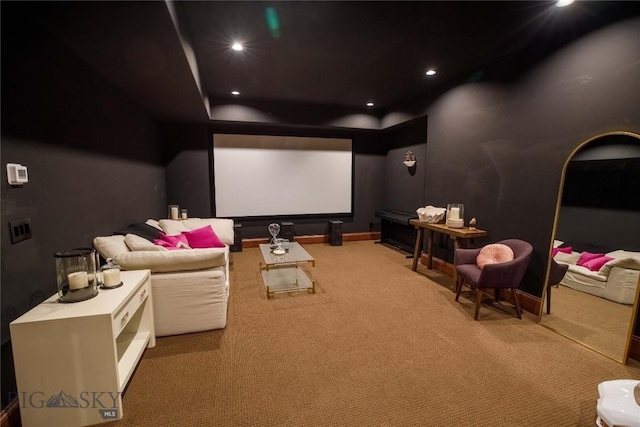 home theater room with carpet