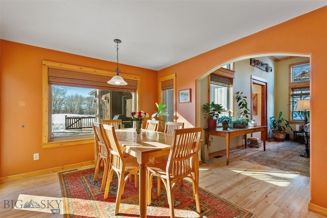 dining space with a wealth of natural light and light hardwood / wood-style flooring