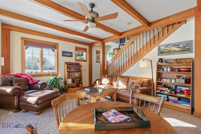 carpeted dining space with ceiling fan and beamed ceiling