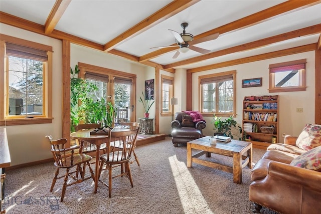 3213 Augusta Dr, Bozeman, MT 59715 - living area featuring beamed ceiling, a ceiling fan, carpet floors, and baseboards