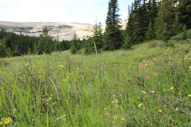 Listing photo 3 for TBD Trapper Creek Rd, Melrose MT 59743