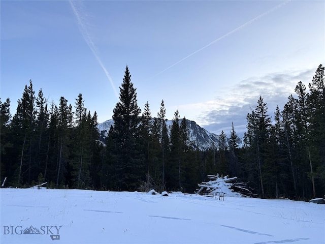 Listing photo 2 for TBD Trapper Creek Rd, Melrose MT 59743