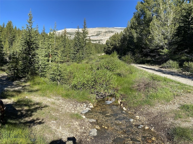 TBD Trapper Creek Rd, Melrose MT, 59743 land for sale