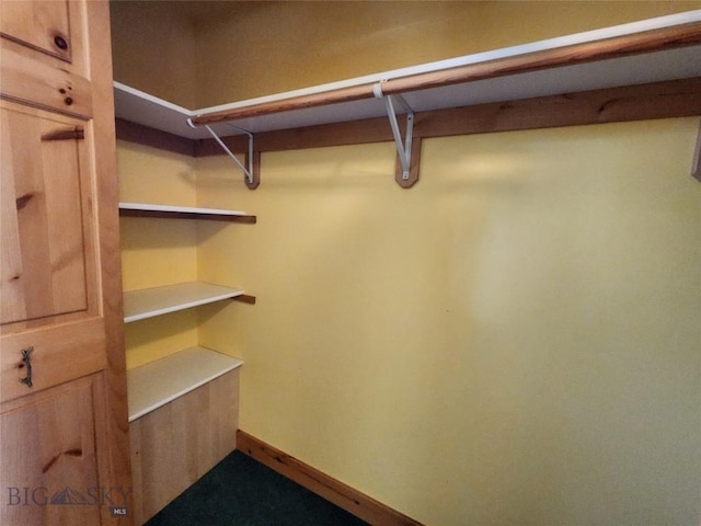 view of spacious closet