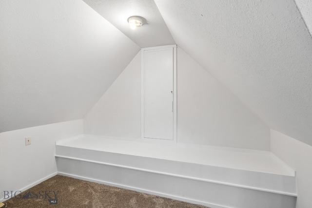 9 Park Plaza Rd, Bozeman, MT 59715 - mudroom with a textured ceiling, carpet, baseboards, and lofted ceiling