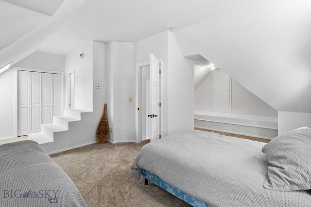 9 Park Plaza Rd, Bozeman, MT 59715 - bedroom with carpet flooring, baseboards, lofted ceiling, and a closet