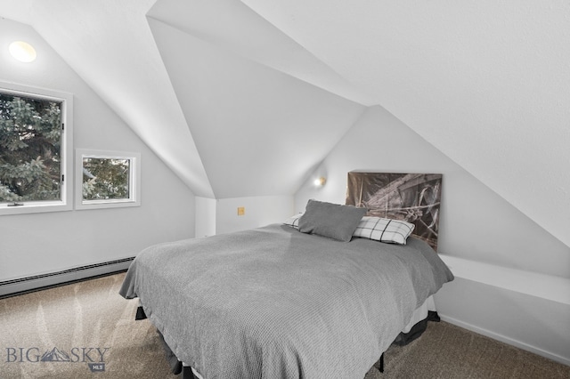 9 Park Plaza Rd, Bozeman, MT 59715 - bedroom featuring carpet floors, lofted ceiling, and baseboard heating