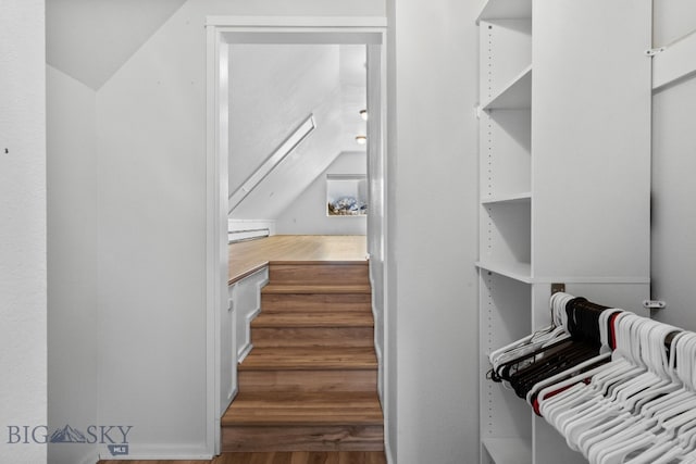 9 Park Plaza Rd, Bozeman, MT 59715 - walk in closet featuring vaulted ceiling, a baseboard heating unit, and wood finished floors