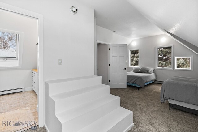 9 Park Plaza Rd, Bozeman, MT 59715 - carpeted bedroom with a baseboard radiator and vaulted ceiling