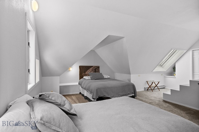 9 Park Plaza Rd, Bozeman, MT 59715 - carpeted bedroom with baseboard heating, lofted ceiling, baseboards, and a skylight