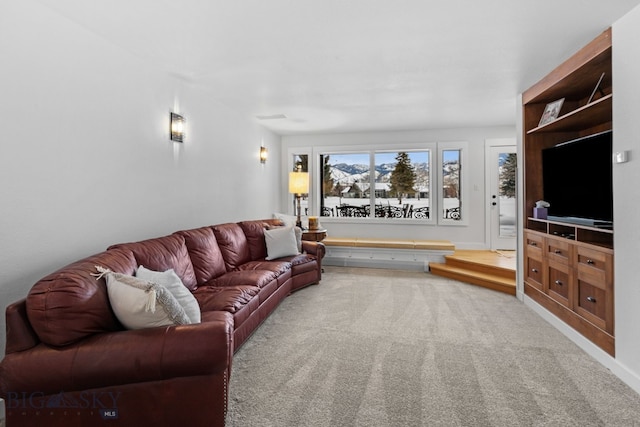 9 Park Plaza Rd, Bozeman, MT 59715 - living area with carpet
