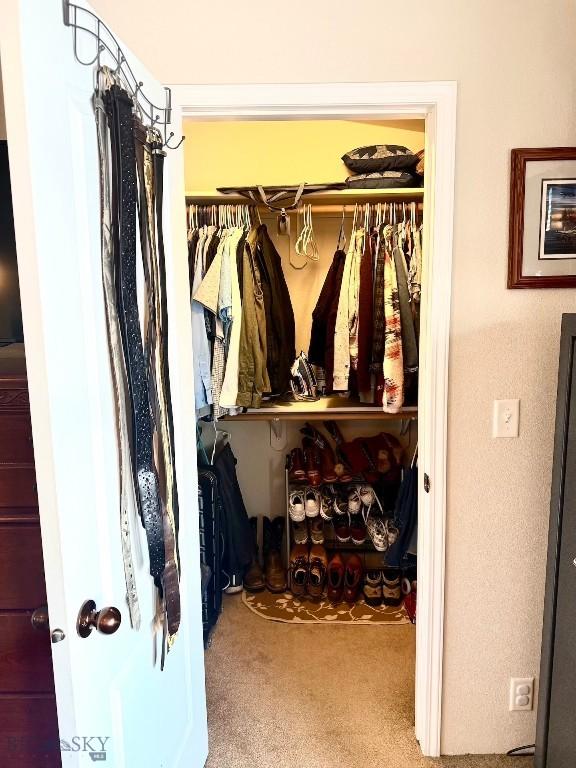 spacious closet featuring carpet flooring