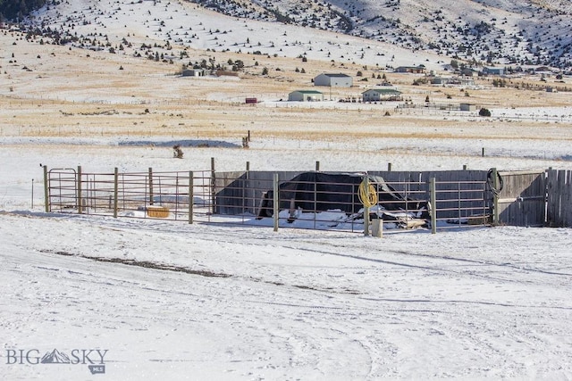 view of yard featuring a mountain view and a rural view