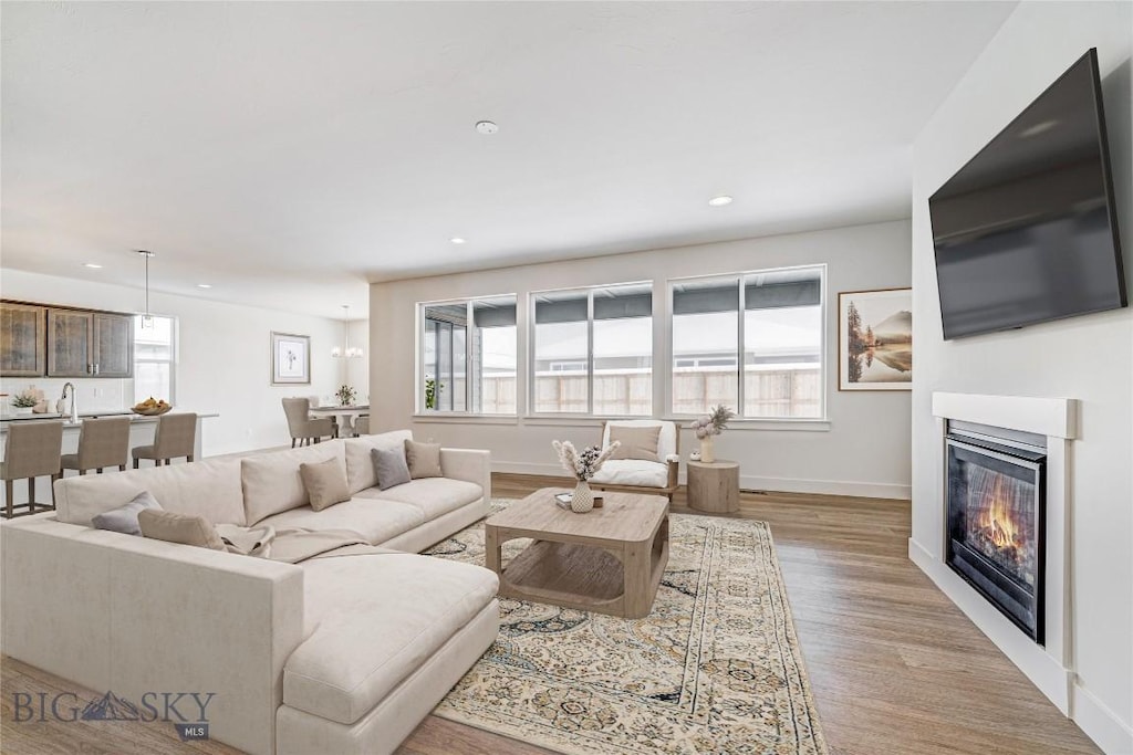 living room with a wealth of natural light and light hardwood / wood-style flooring