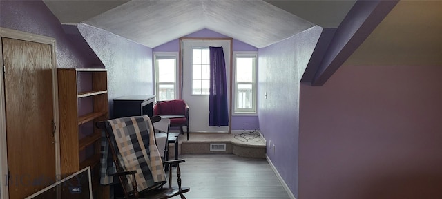 4008 Mt Highway 287, Twin Bridges, MT 59754 - bedroom featuring vaulted ceiling, wood finished floors, a textured wall, and baseboards