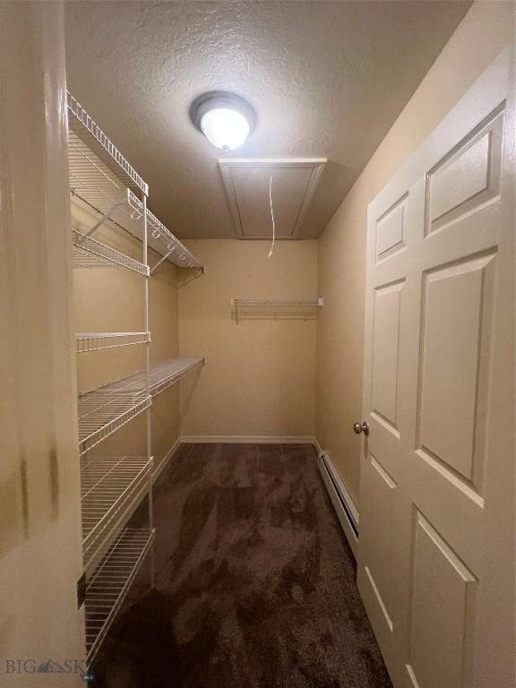 spacious closet featuring dark carpet and a baseboard heating unit