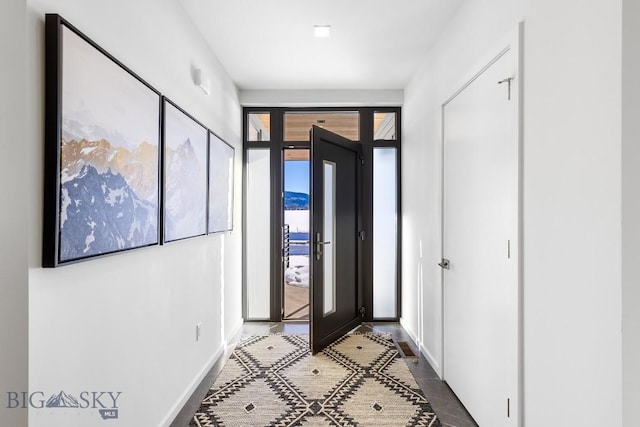 entryway with a wealth of natural light