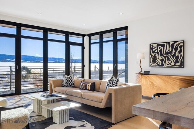 living room with plenty of natural light, a water and mountain view, and light hardwood / wood-style flooring