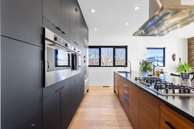 kitchen featuring ventilation hood, stainless steel appliances, light hardwood / wood-style flooring, and sink