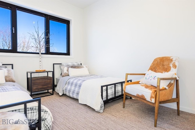 view of carpeted bedroom