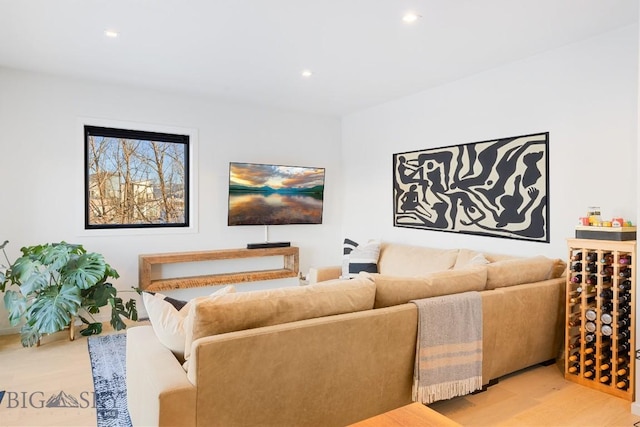 living room with light wood-type flooring