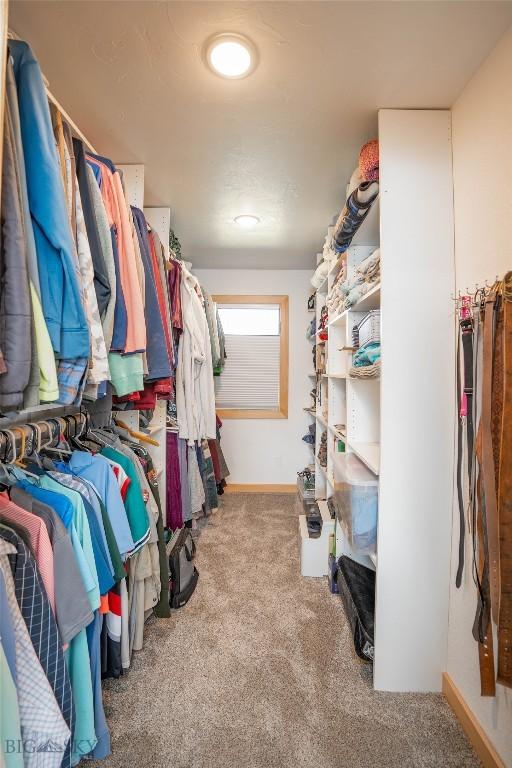 7 Hardy, Ennis, MT 59729 - spacious closet with carpet flooring