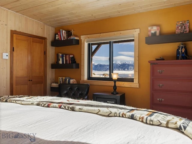 107 Dry Creek Trl, Ennis, MT 59729 - bedroom with wood ceiling, a closet, and wooden walls
