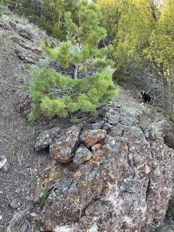 107 Dry Creek Trl, Ennis, MT 59729 - view of local wilderness