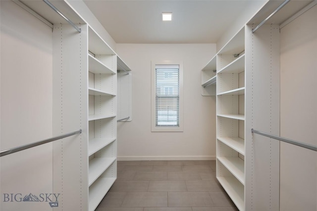 view of walk in closet