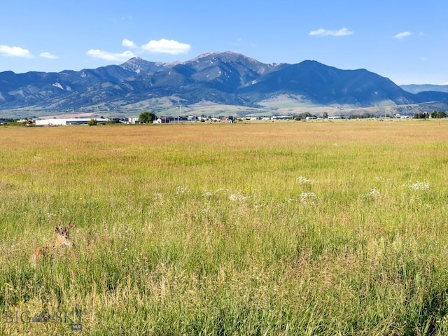 TBD S Cottonwood Rd, Bozeman, MT 59718