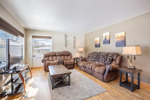 living room with light hardwood / wood-style floors