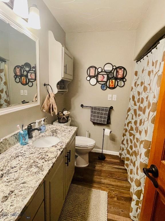 bathroom featuring vanity, toilet, and hardwood / wood-style floors