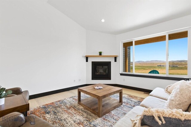 living room featuring a mountain view and light hardwood / wood-style flooring