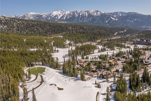 bird's eye view with a mountain view