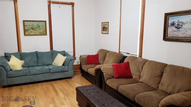 living room featuring hardwood / wood-style floors