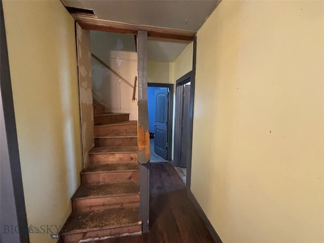 stairs featuring hardwood / wood-style floors