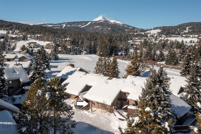 snowy aerial view featuring a mountain view