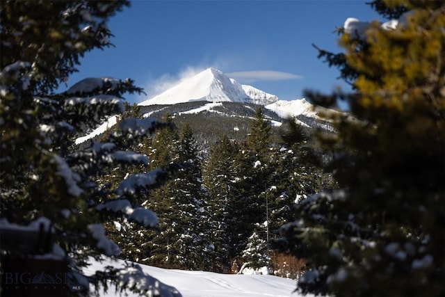 property view of mountains