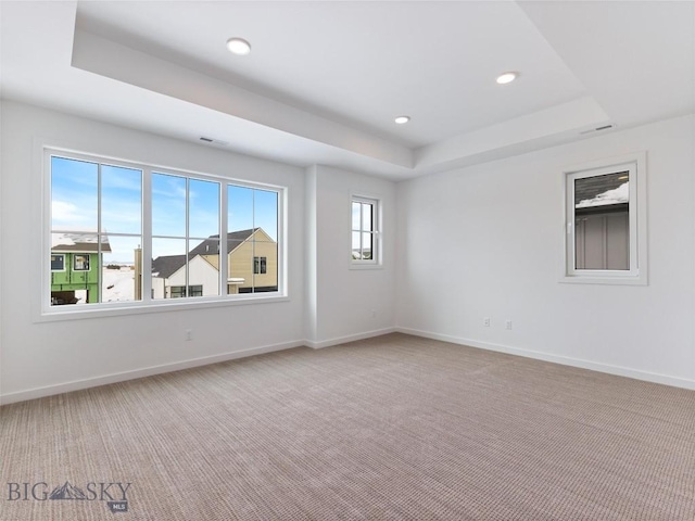 spare room with a raised ceiling and carpet floors