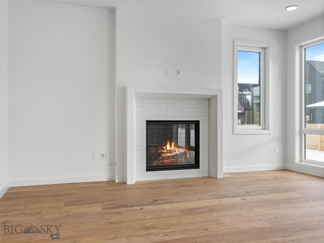 room details featuring wood-type flooring and a fireplace