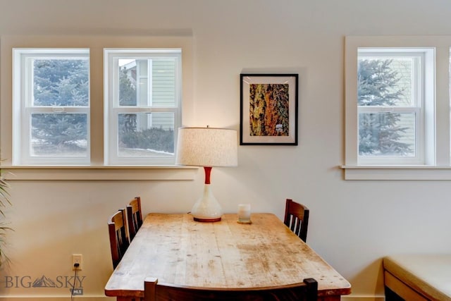 dining room featuring plenty of natural light