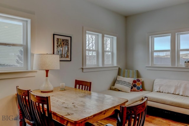 dining room featuring a healthy amount of sunlight