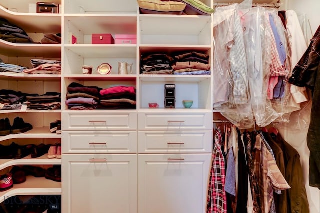 view of spacious closet