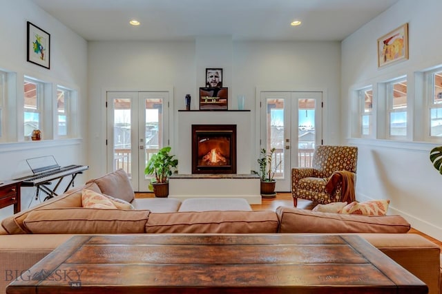 living room with wood-type flooring and french doors