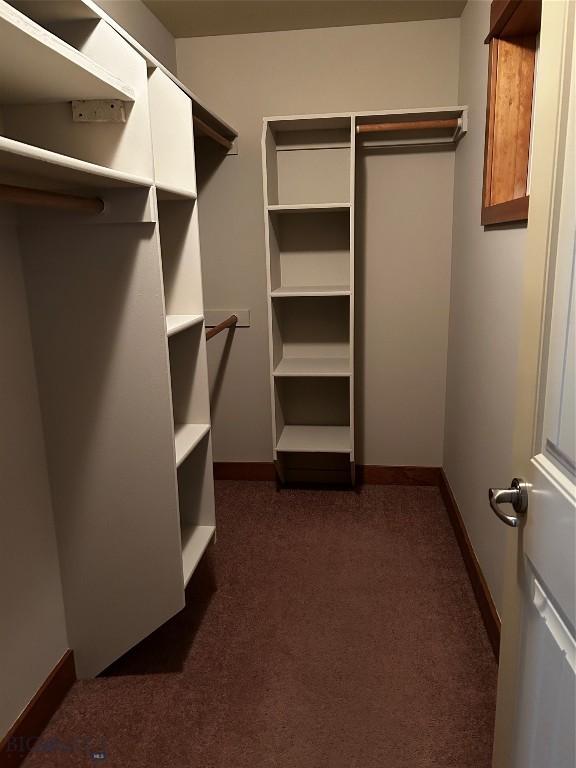 walk in closet featuring dark carpet