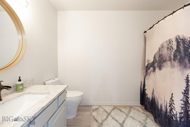 bathroom with vanity, wood-type flooring, and toilet