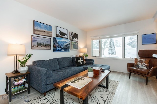 living room with light hardwood / wood-style flooring