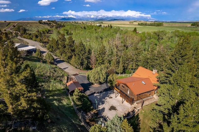 drone / aerial view with a mountain view